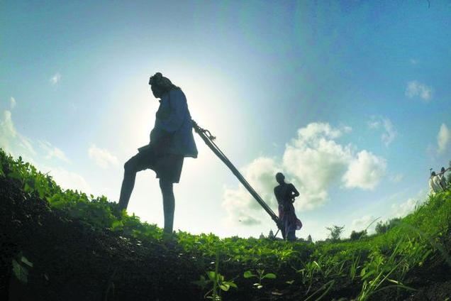FARMERS’ SUICIDES IN KARNATAKA: A POLITICAL PERSPECTIVE