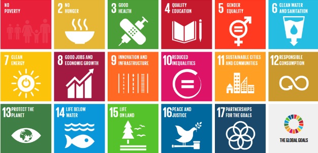 HIGHER EDUCATION FOR A SUSTAINABLE DEVELOPMENT IN INDIA