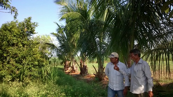 निमगाव ता.खेड, जि.पुणे या गावाच्या कृषी व्यवसायाचा अभ्यास