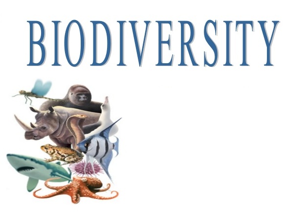 AWARENESS REGARDING THE CONSERVATION OF  BIODIVERSITY THROUGH COUNTING OF ANIMALS:  MARATHWADA REGION.