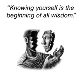 INTROSPECTION