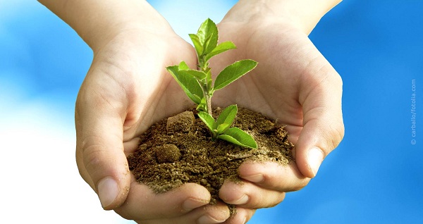 NGO’S ENVIRONMENTAL PROTECTION: A STUDY OF  SATARA DISTRICT