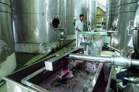 WINE PROCESSING IN SANGLI DISTICT OF MAHARASHTRA WINE PROCESSING IN SANGLI DISTICT OF MAHARASHTRA