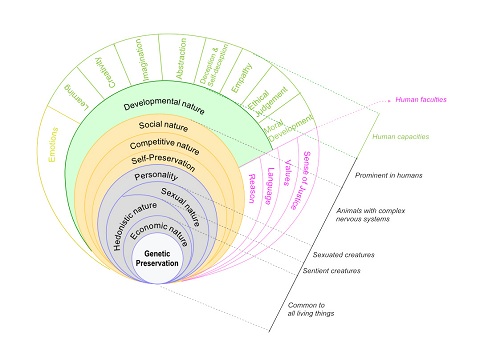 PHILOSOPHICAL CONCEPT OF GENETIC CENTRE:  IS IT CONTROL CENTRE OF LIVING BEING? 