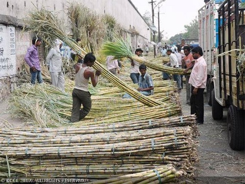 STUDY THE PERFORMANCE OF ELITE SUGARCANE GENOTYPES  IN DIFFERENT STATION TRIALS 