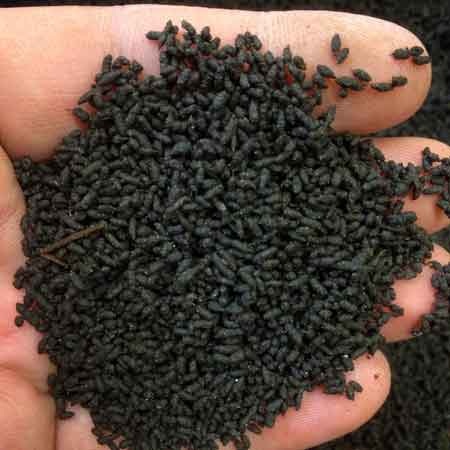 CHARACTERIZATION AND OCCURRENCE OF BACTERIAL  POPULATION FROM VERMICOMPOST PRODUCED  FROM THE TENDU LEAF LITTER WASTE OF SOLAPUR CITY.