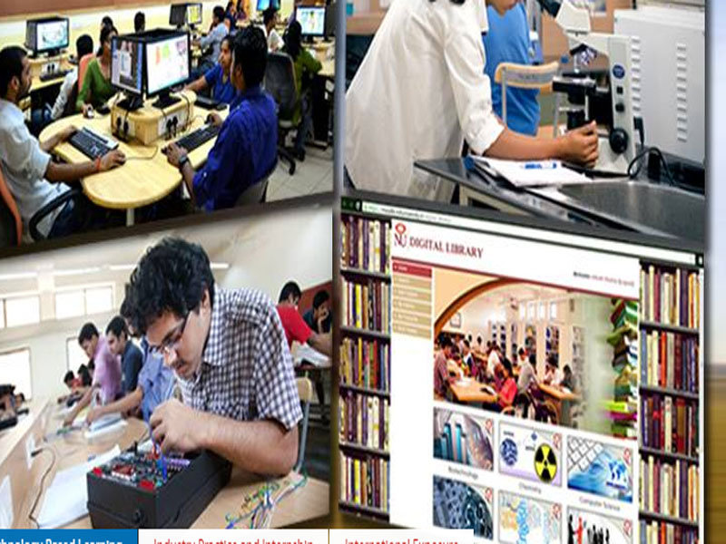USE, PURPOSE AND , IMPACT OF ELECTRONIC RESOURCES  IN LIBRARIES OF AGRICULTURAL UNIVERSITIES AND INSTITUTES  OF RAJASTHAN 