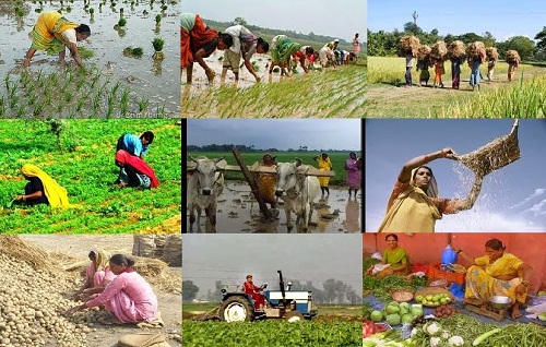 जागतिकीकरण प्रक्रिया आणि भारतीय शेती