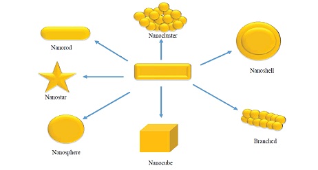 SPIN POLARIZATION OF GOLD NANOPARTICLES  IN AC FIELDS