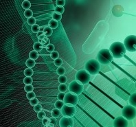 APPLICATION REGIONS OF NANOBIOTECHNOLOOGY APPLICATION REGIONS OF NANOBIOTECHNOLOOGY