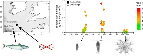 SEASONAL CHANGES IN ZOOPLANKTON COMMUNITY STRUCTURE IN A  SUBTROPICAL FRESH WATER RESERVOIR OF MAHARASHTRA ( INDIA)