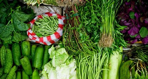 FOOD SECURITY NUTRITIONS FOR FUTURE GENERATION