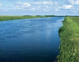 STUDY OF DIATOMS IN DIFFERENT STAGNANT AND RUNNING WATER BODIES  IN TRANS YAMUNA AREA OF ALLAHABAD