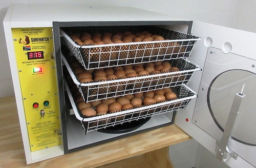 DESIGN AND FABRICATION OF SOLAR OPERATOR INCUBATOR FOR EGGS
