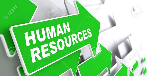 “AN EMPIRICAL STUDY ON IMPACT OF GREEN HUMAN RESOURCE FUNCTIONS ON ENVIRONMENTAL PERFORMANCE: CASE STUDY WITH  REFERENCE TO ICICI BANK.”